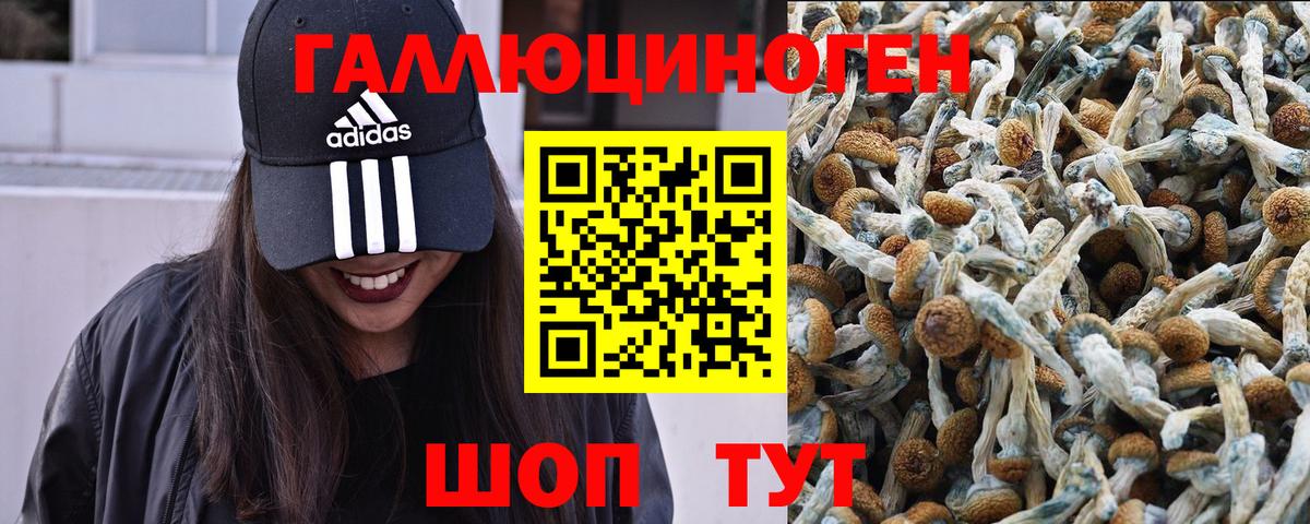 Галлюциногенные грибы мухоморы  Вход с VPN  Галлюциногенные грибы GOLDEN TEACHER  Ирбит 